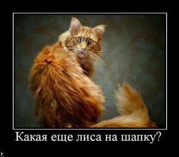 Песня музыканты на месте отпуск закончился