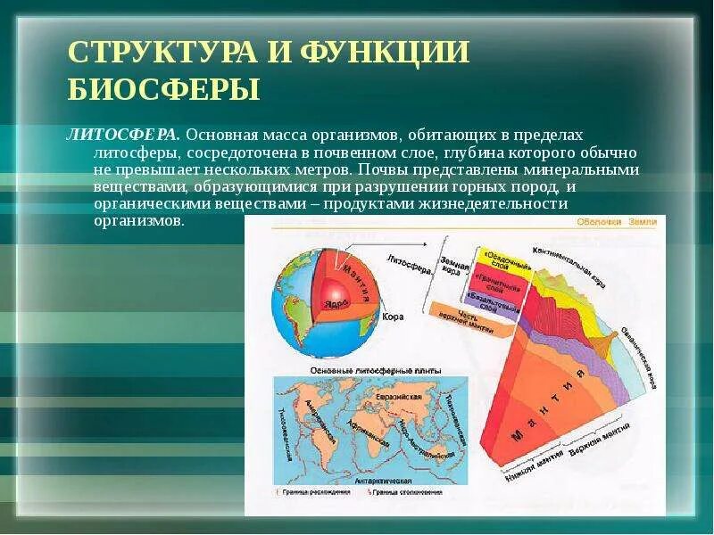 Значение для человека имеет литосфера. Структура и функции биосферы. Строение и функции литосферы. Презентация на тему литосфера. Структура литосферы.