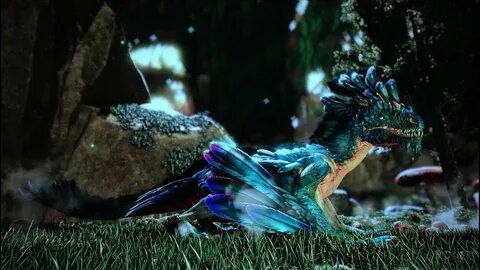 Aberration