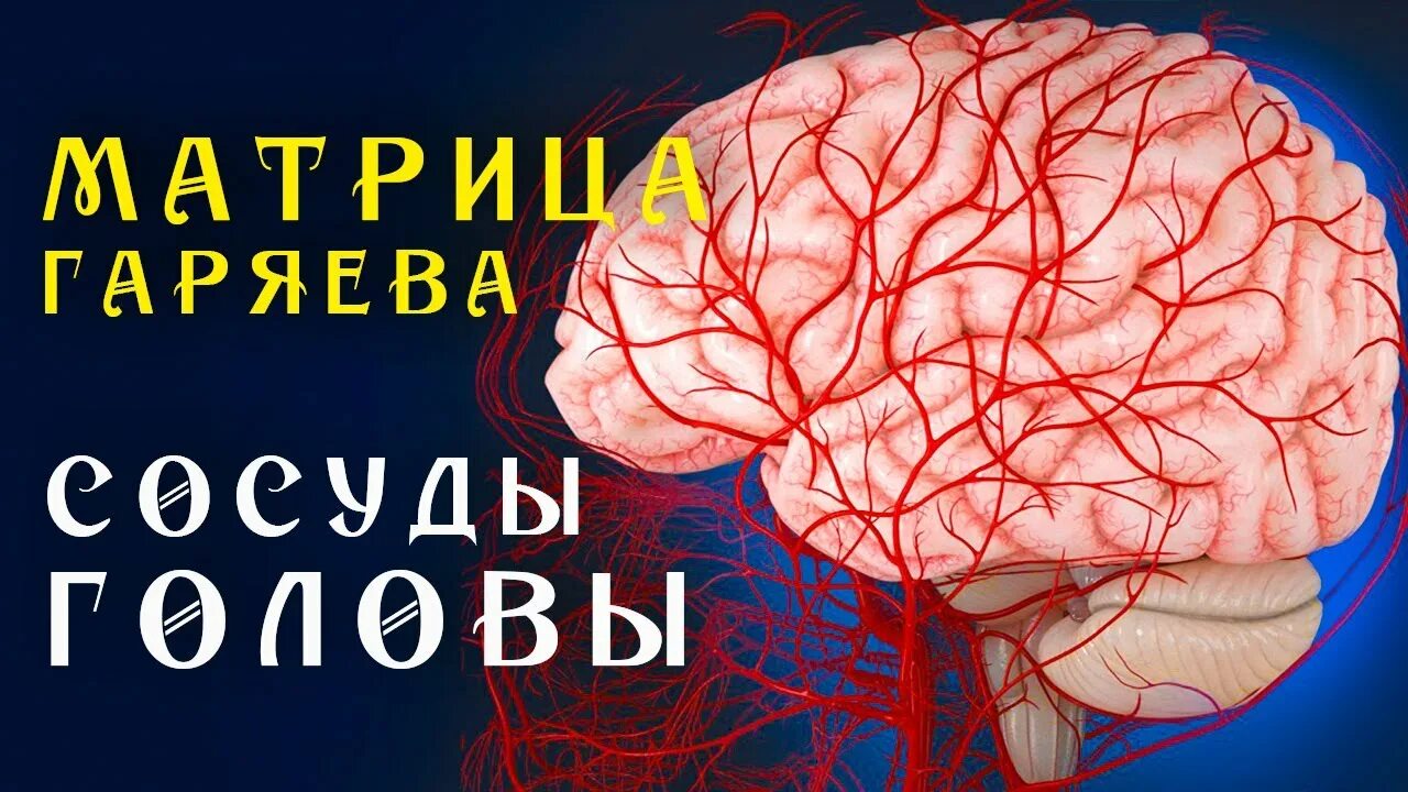 Матрица Гаряева полная очистка сосудов головы. Матрица Гаряева Исцеляющая. Матрица Гаряева очищение печени. Матрицы Гаряева остеопороз.