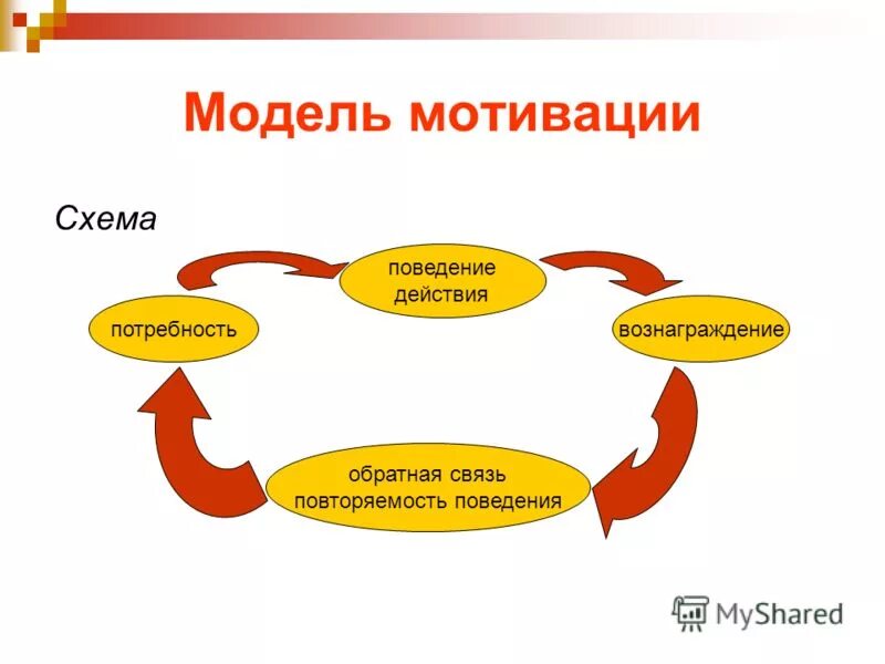 Мотивация поведения в организации