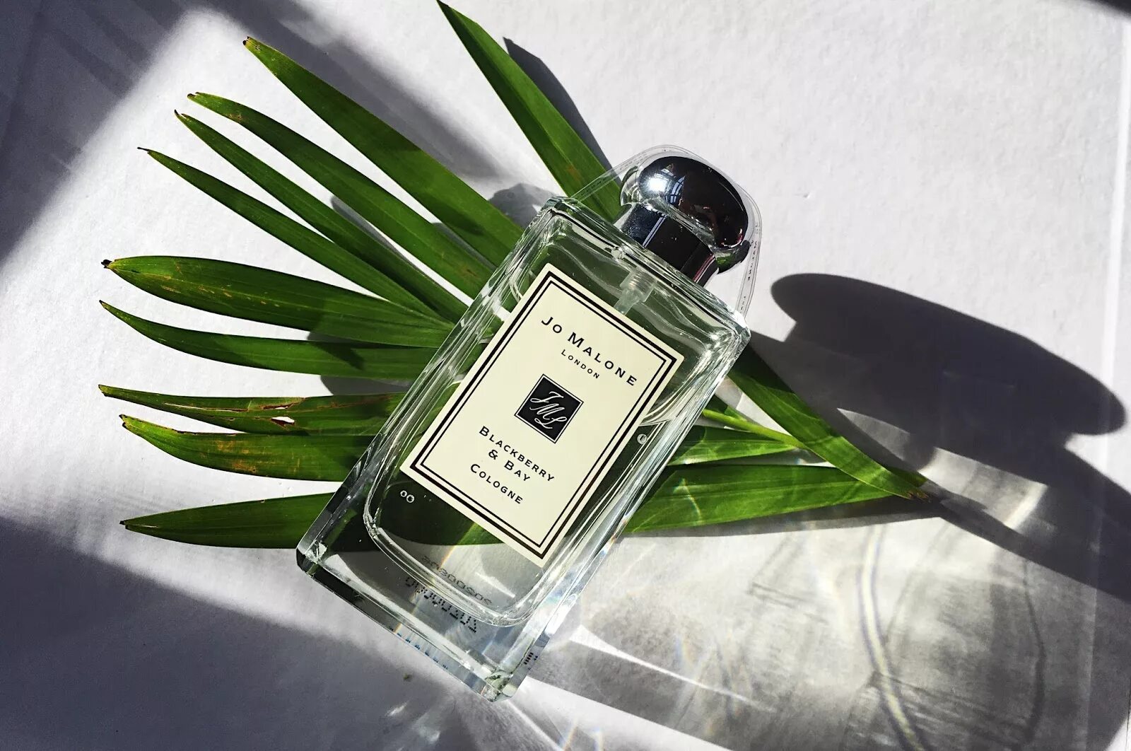 Joe malone. Джо Малон BLACKBERRY Bay. Джо Малон ежевика. Jo Malone BLACKBERRY & Bay 100мл. Jo Malone BLACKBERRY Bay Cologne.