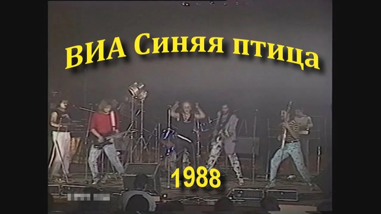 Город песня синяя птица. Синяя птица 1988. Евгений ВИА синяя птица. Евгений Войнов и группа синяя птица. Синяя птица 1979.