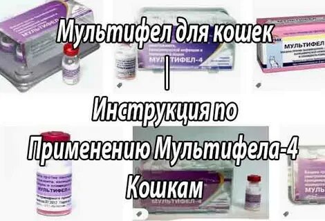 Мультифел 4 инструкция для кошек
