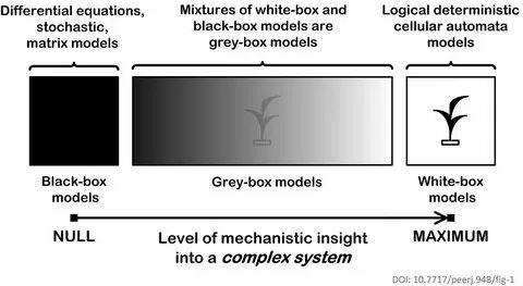 Doi system