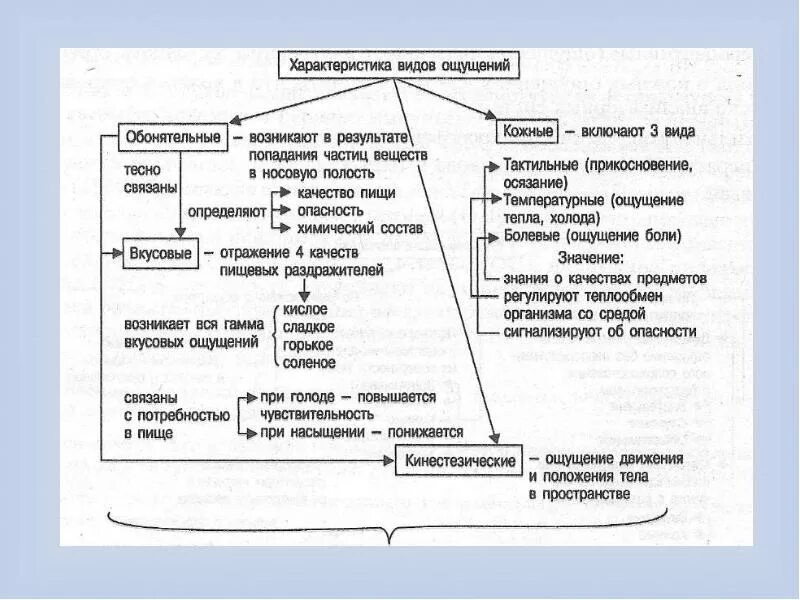 Свойствами ощущений являются. Характеристика видов ощущений. Характеристика основных видов ощущений. Схема виды ощущений. Основные свойства ощущений.