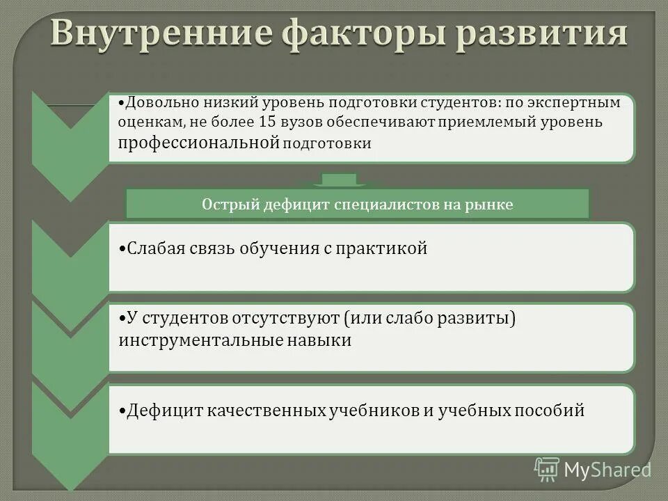 Факторы развития народов. Внутренние факторы развития. Внутренние факторы развития языка. Внутренние факторы языкового развития. Внешние и внутренние факторы развития.