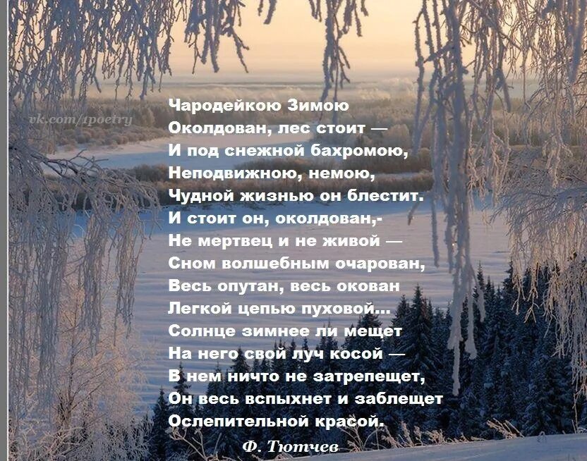 Глубине строки из стихотворения. Стихи не более 16 строчек. Очаровывать из стихотворения. Стихотворные строчки о Шатунове. Укажите строки из стихотворения