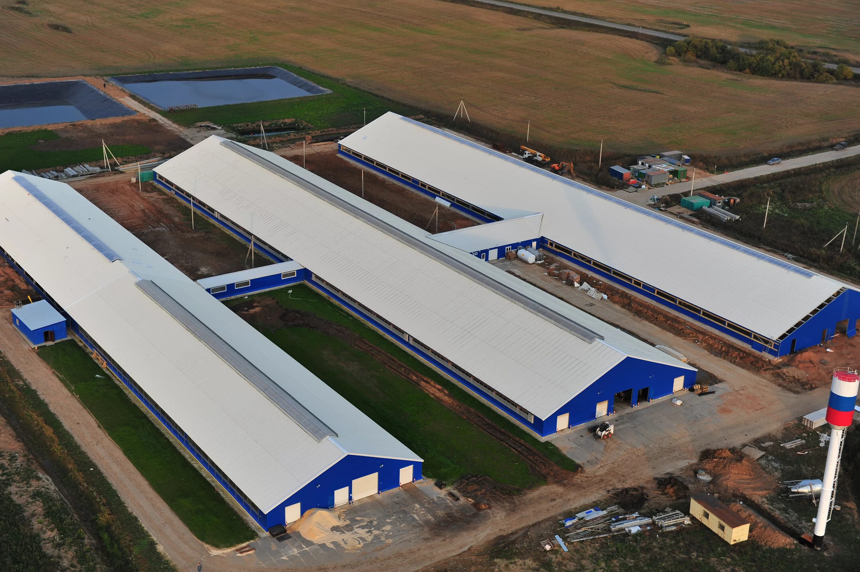 д дубнево ступинский район эконива. новый животноводческий комплекс. эконива поселок авангард животноводческий комплекс. строительство нового животноводческого комплекса. эконива коровники.