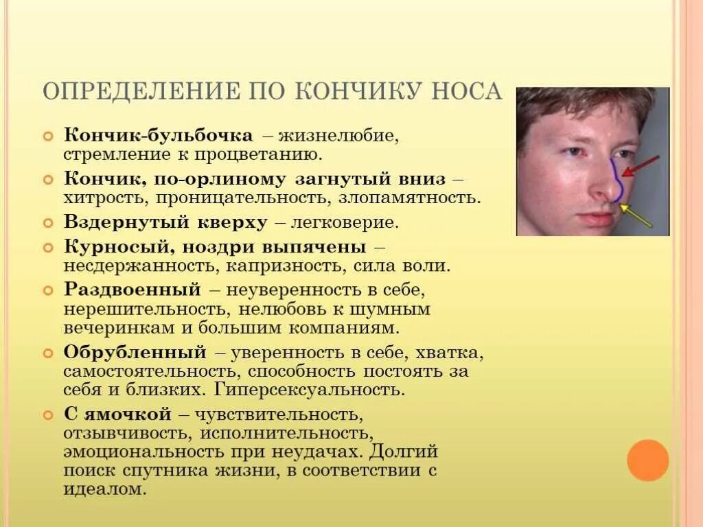 О чем говорит нос мужчины. Характеристика людей по носу. Форма носа и характер. Характер человека по форме носа. Форма ноздрей физиогномика.