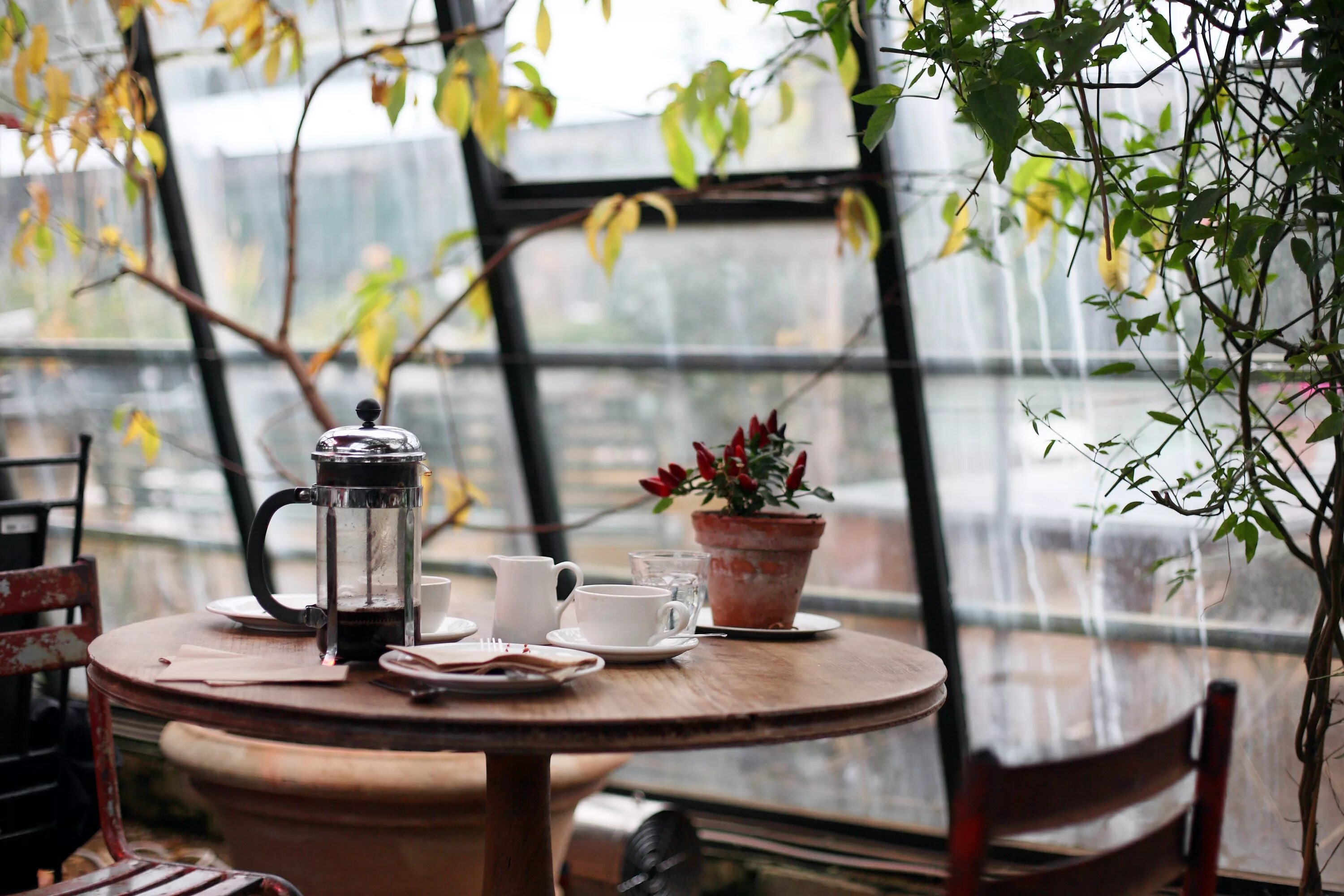 Кофе городок. Уютный столик в кафе. Чаепитие на террасе. Столик в кофейне. Уютные столики для кофейни.