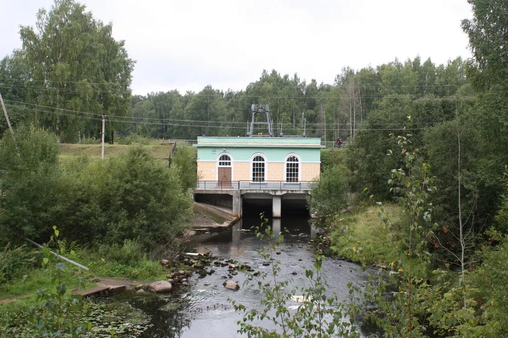 Погода в госткино. Госткино картинки. Деревня госткино лужский. Моровино картинки. Погода в госткино.