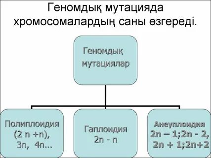 Жетілген түкті әйелдермен үйдегі секс