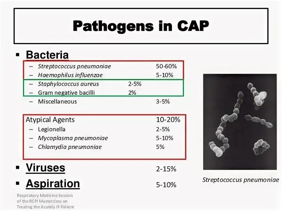 Streptococcus pneumoniae haemophilus influenzae streptococcus. Haemophilus influenzae пневмония. severity of pneumoniae. бактерия mycoplasma pneumoniae схема. community-acquired pneumonia.