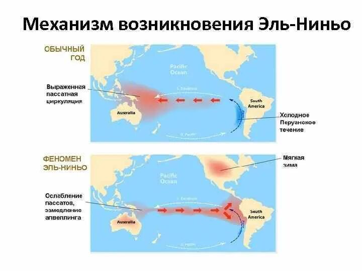 Перуанское течение в год Эль Ниньо на карте. Направление течения Эль Ниньо на карте Южной. Направление течения Эль Ниньо на карте. Направление течения Эль Ниньо в Южной Америке.