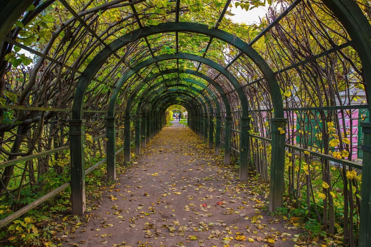 кусково лабиринт. финальная игра прогулка олимпиада музеи парки усадьбы 2022. музеи парки сады. губернаторский художественный музей ярославль. сад тюильри в париже.