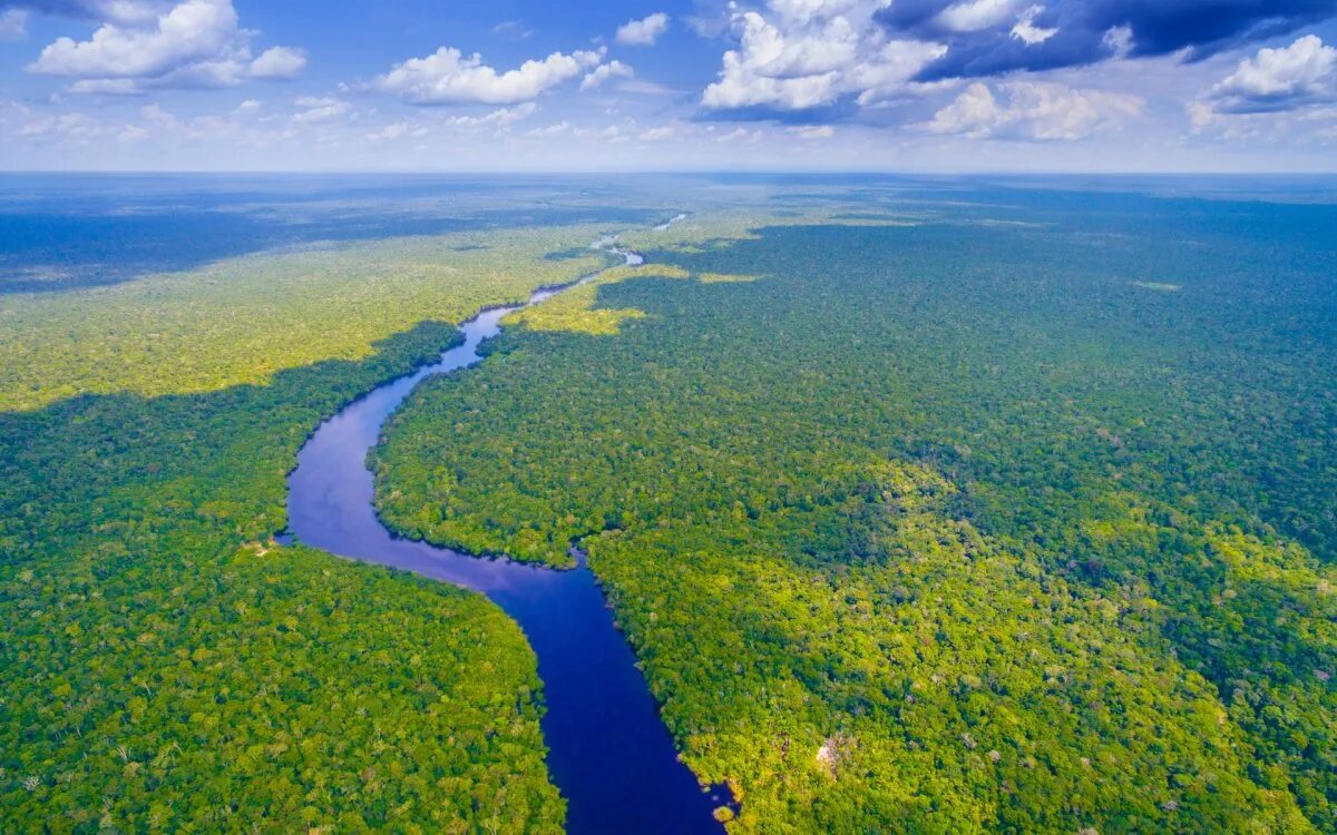Река Амазонка. Бразилия Амазонка. Сельва Бразилии. Северная Америка река Амазонка. Самая большая река в бразилии