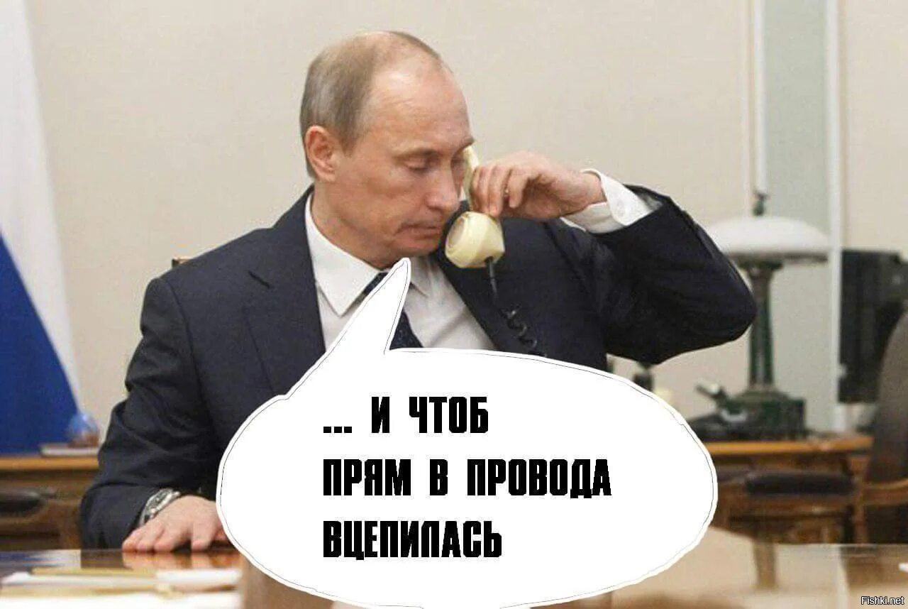 Чтоб напрямую. И чтоб прям в провода вцепилась. про путина картинка. пусть.