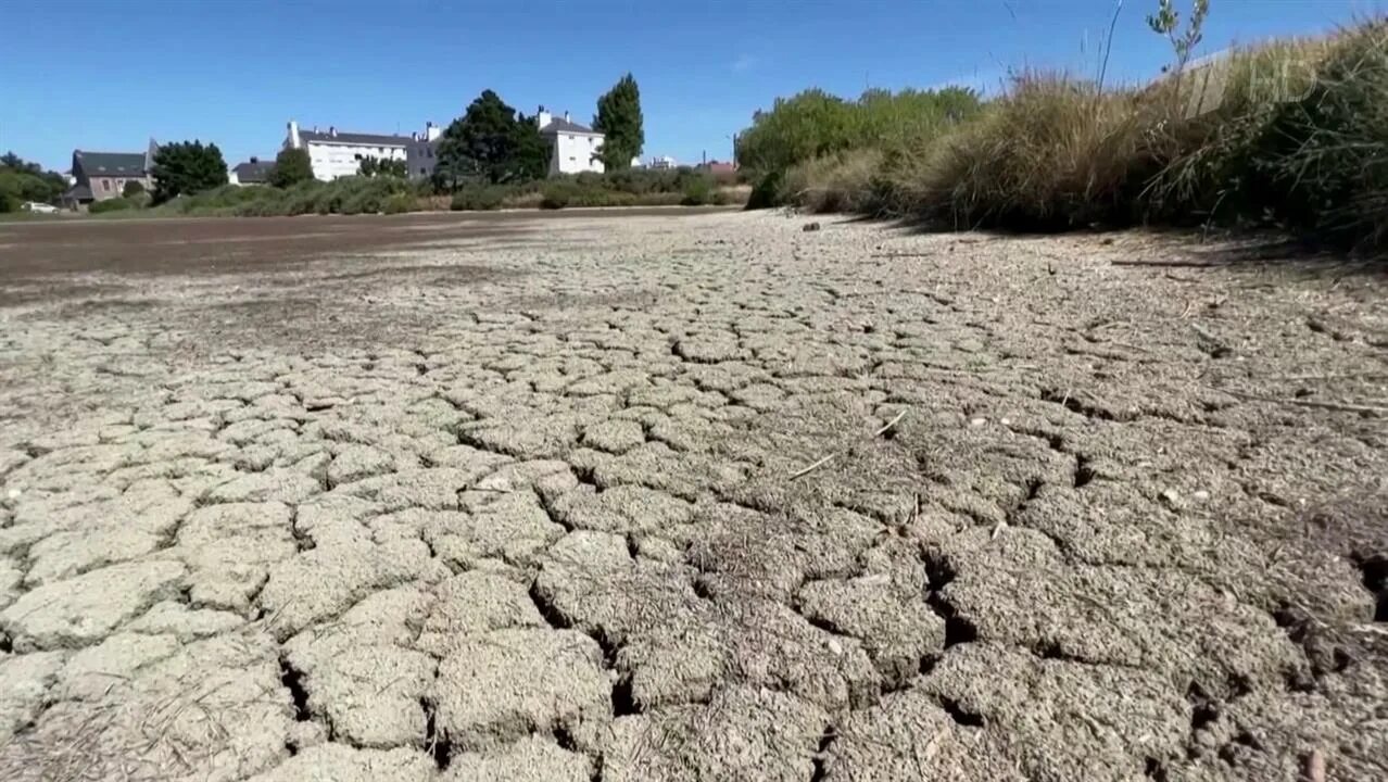 Засуха в мире. Жара во Франции 2022. Засуха в Европе 2022. Засуха во Франции в 2022. Аномальная засуха.