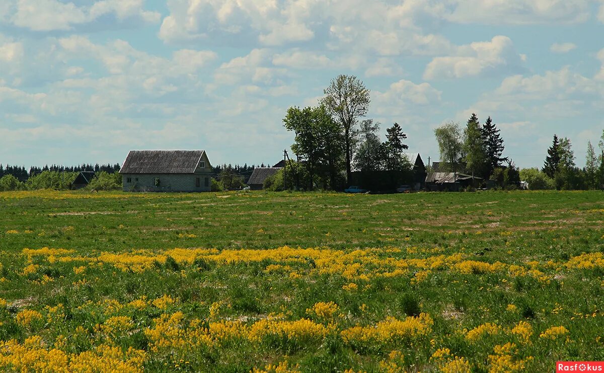 Окраину деревушки. Окраину деревушки. Домик на окраине деревни. Старый дом на окраине. Деревня окраина лето.
