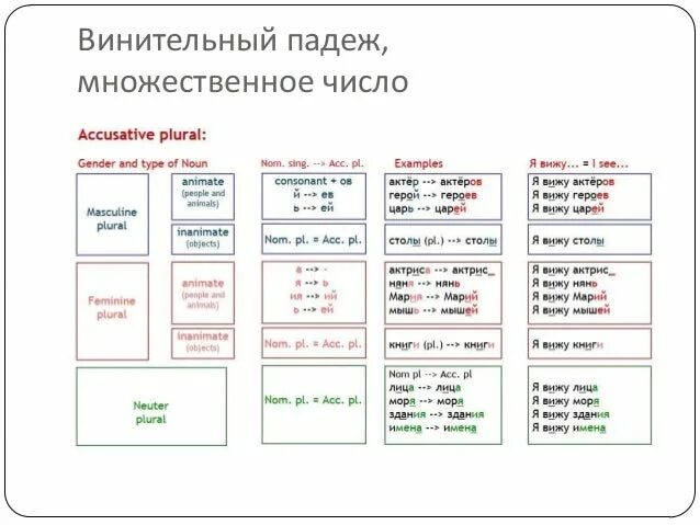 Как отличить винительного в существительных