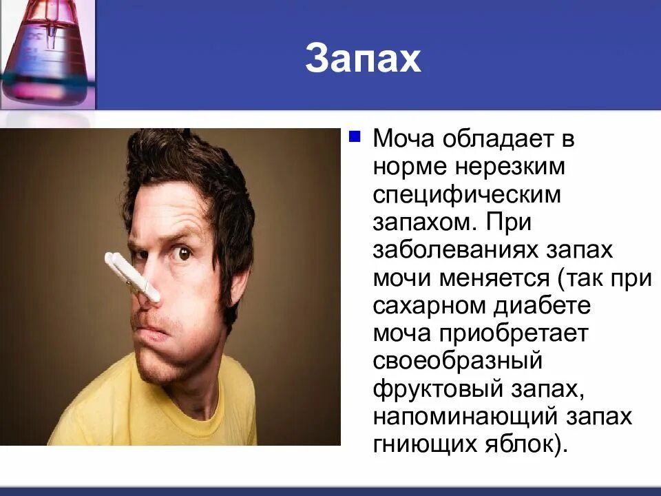 Что означает воняет. Специфический запах. Запах мочи. Специфический запах мочи. Запах мочи при различных заболеваниях.