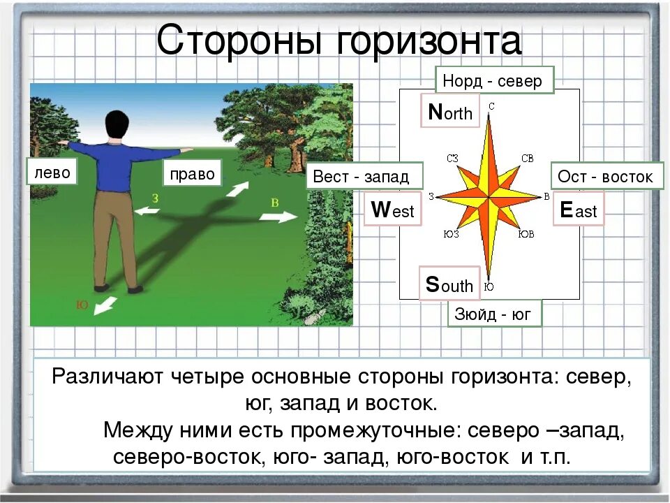 Ориентирование на местности стороны горизонта.