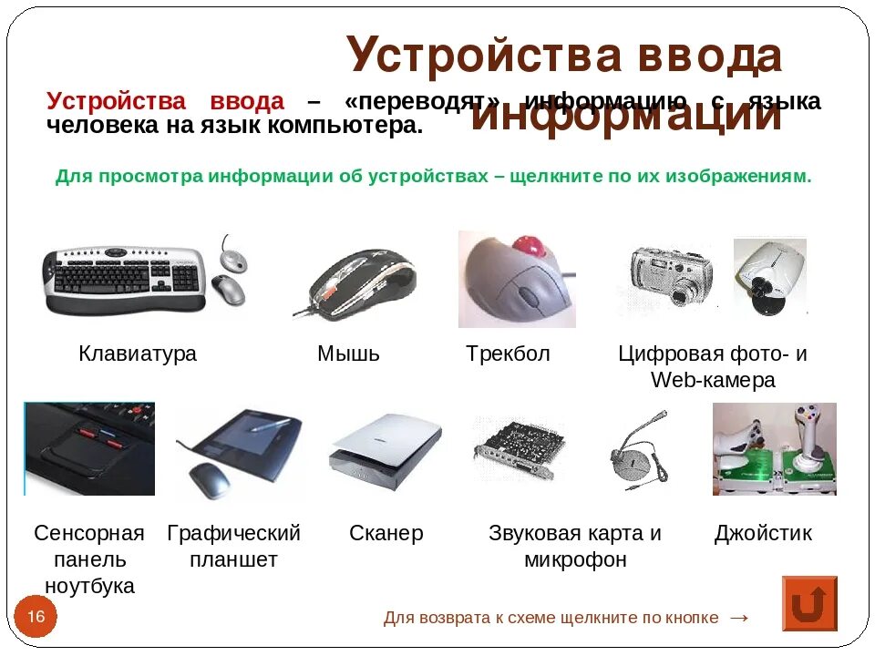 Персональный компьютер устройства вывода. Устройства ввода. Устройства ввода информации в ПК. Стройствавводаинформации. Перечислите устройства ввода информации.