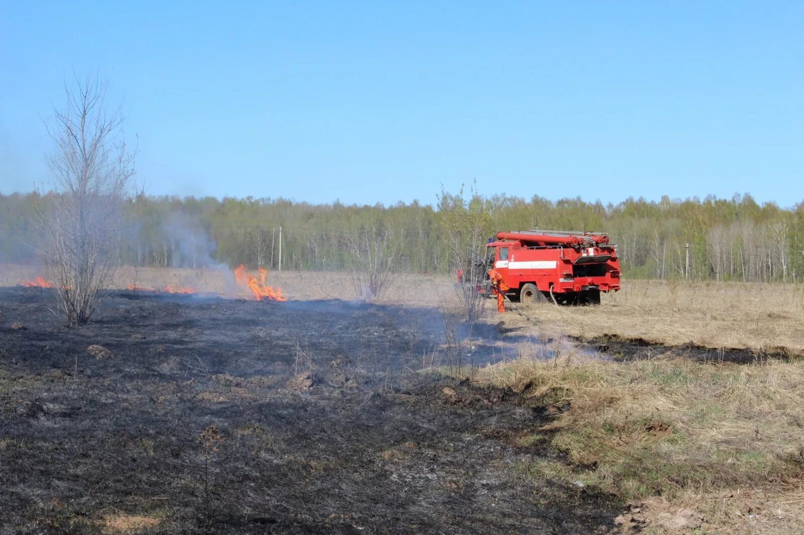 Лесные пожары в Нижегородской области. Лесопожарная обстановка Нижегородская. Пожар в лесу Нижегородская область. Весенне-летний пожароопасный период.