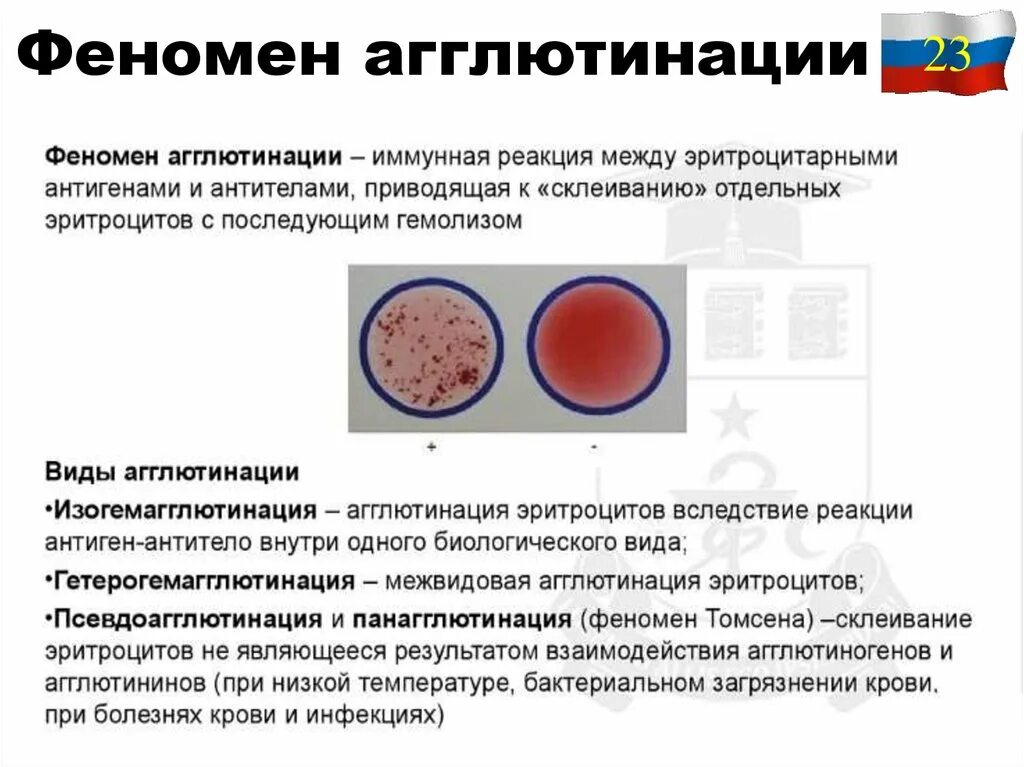 Реакция агглютинации эритроцитов. Реакция агглютинации Пробирочная микробиология. Реакция агглютинации микробиология. Реакция агглютинации феномен реакции. Явление агглютинации.