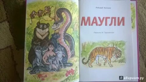 Маугли читательский дневник 4