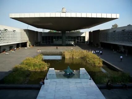 Museum anthropology