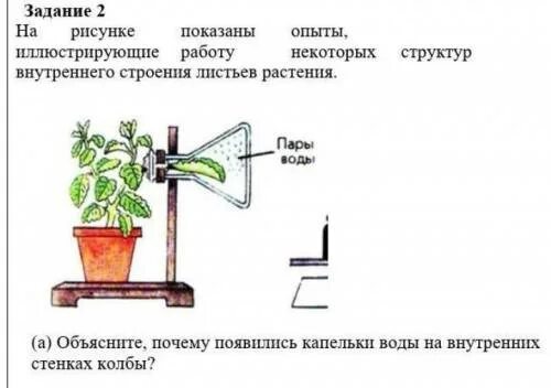 Рассмотрите изображенный опыт. Опыт изображенный на рисунке. Что доказывает опыт, изображённый на рисунке?. На рисунке изображён опыт, демонстрирующий.... Что демонстрирует опыт на рисунке.