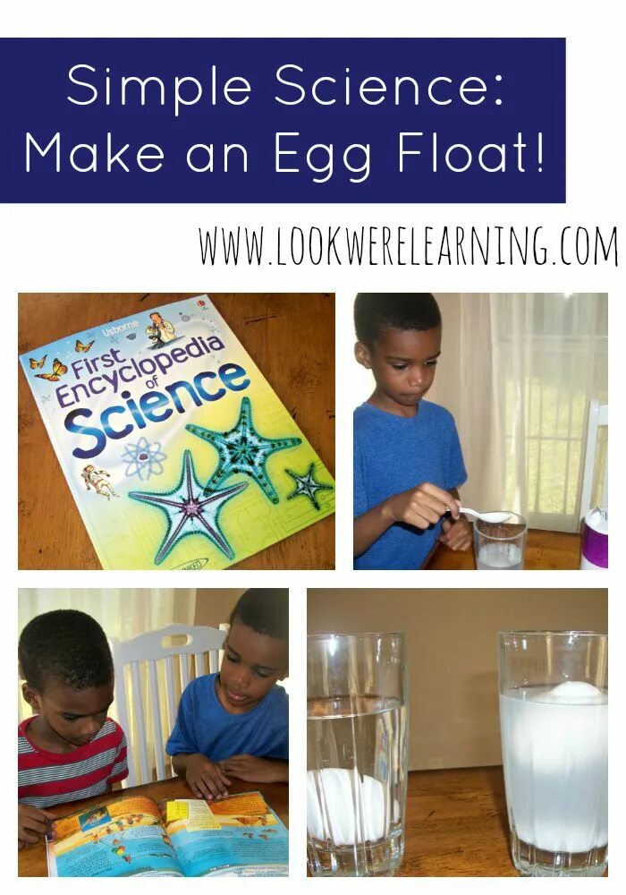 Simple science. Floating egg science experiment. изи флоат.