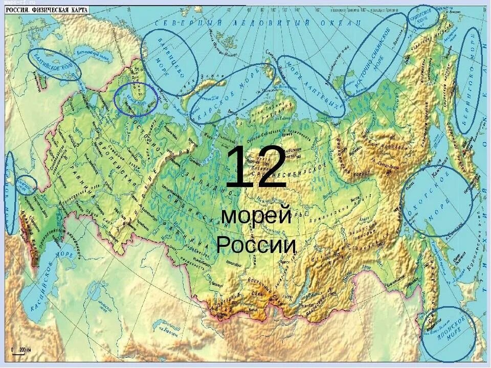 Моря России на карте. Физическая карта России моря. Карта России с морями и Океанами. Моря России на карте России. Бассейн океана баренцево