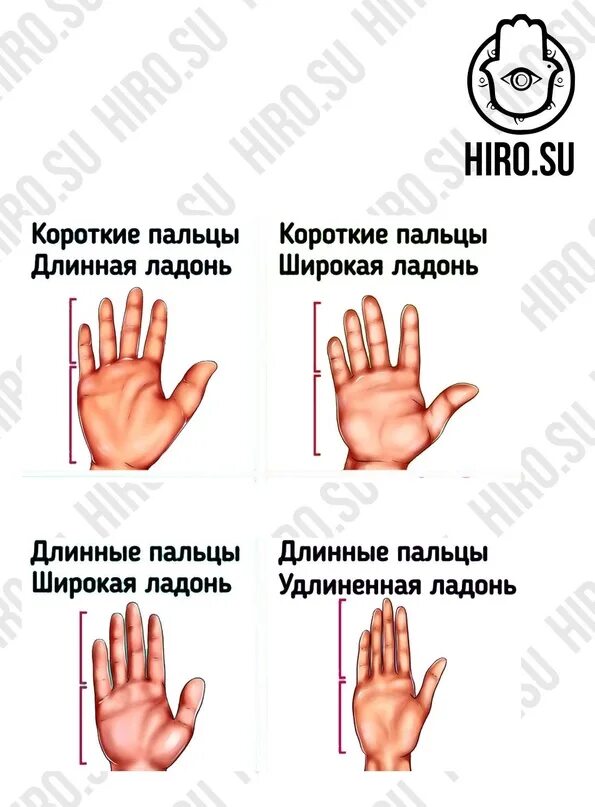Как увеличить руку в ширину. Объем ладони. как увеличить пальцы на руках. как увеличить ладонь. пальцы рук размеры.