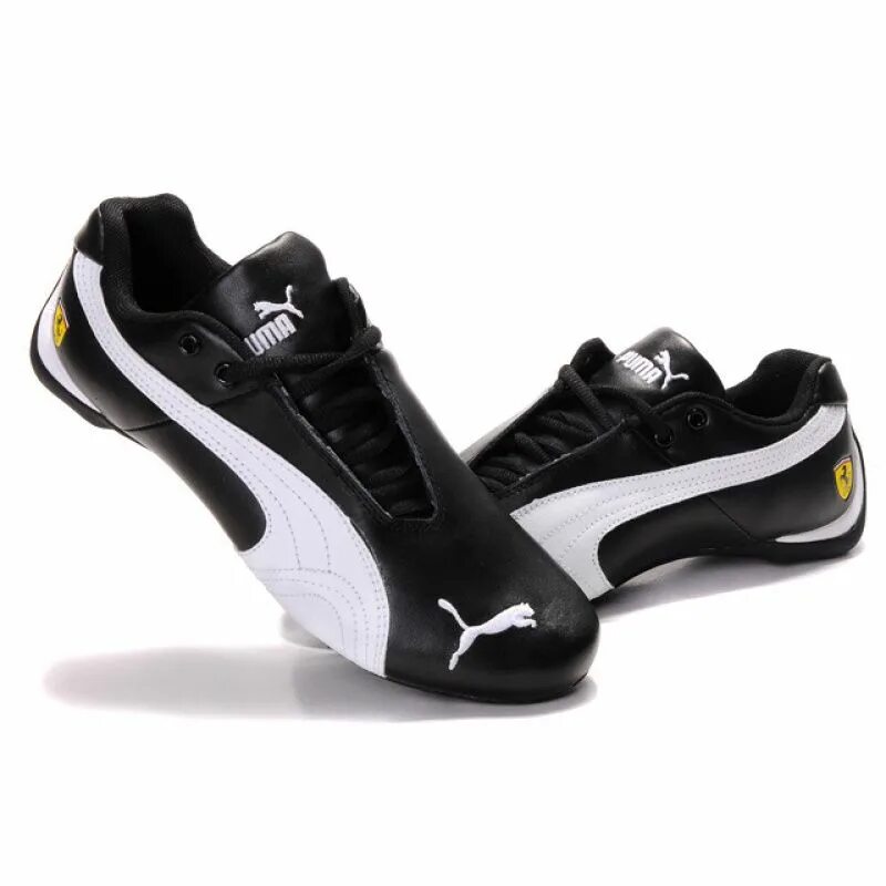 Puma morphic base