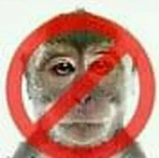 Обезьянам нельзя
