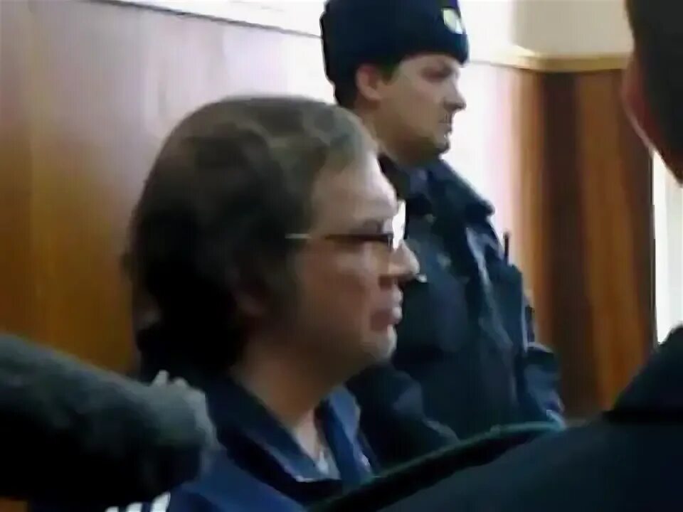 Дело голуб. Дело голуб. Дело голуб. Дело голуб. Голубь в профиль.