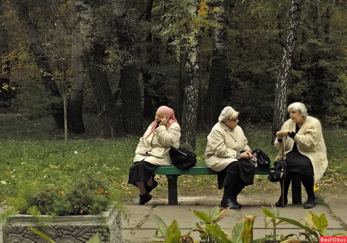 Гуляйте бабоньки. Бабье лето. Старушка в парке. Бабулька в парке. Бабки в парке.