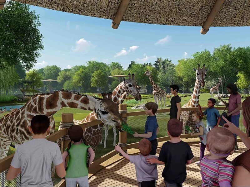 Группа Zoo детская. Зоопарк Литл-рока Литл-рок. Family at the Zoo. Zoo1968.