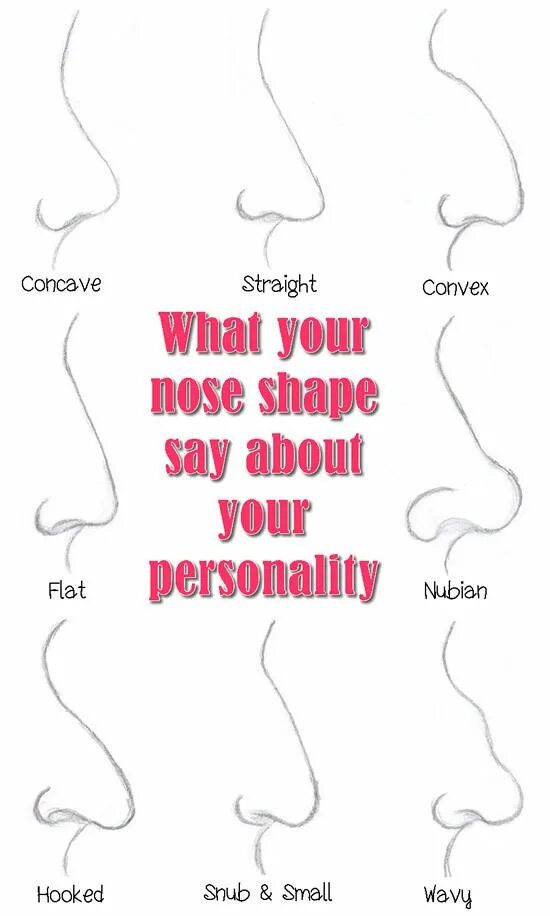 Нос перевести на английский. Hook Shaped nose. Concave nose. Your nose. Nose Shape personality.