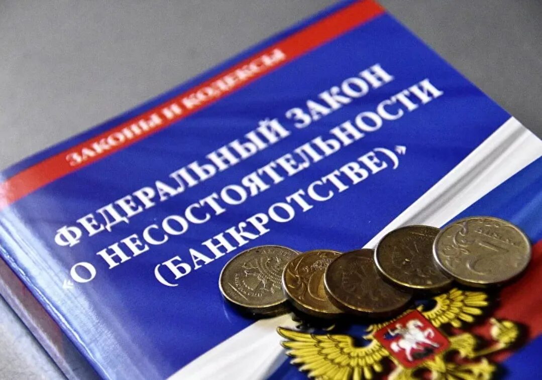 Фз о несостоятельности банкротстве действующая. Фз о несостоятельности. мораторий на банкротство. несостоятельность банкротство. фз о банкротстве.