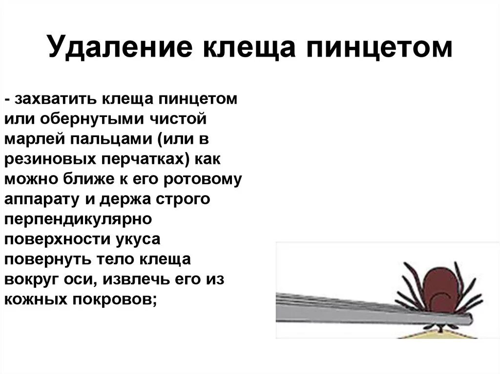 Как вытащить клеща у человека в домашних. Как достать клеща с помощью нитки. Как правильно удалить клеща с помощью пинцета. Как удалить клеща с помощью нитки. Как вытащить клеща с помощью нитки.