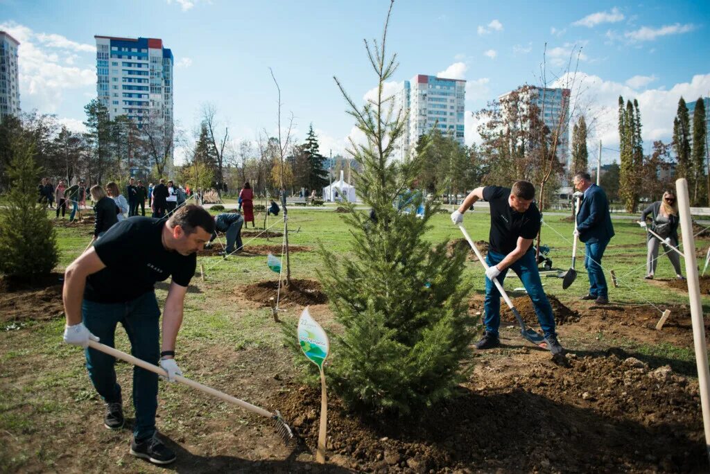 Высадка насаждений. ЦПКИО Волгоград. Волгоградский парк ЦПКИО. Волгоград парк ПЦКО. ЦПК ио Волгоград.