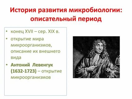 Этапы развития микробиологии