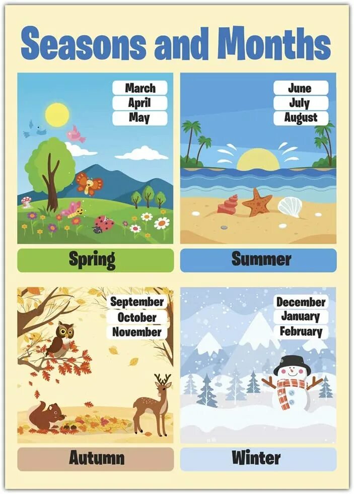 Плакат Seasons and months. Months and Seasons in English. Seasons and months for Kids.