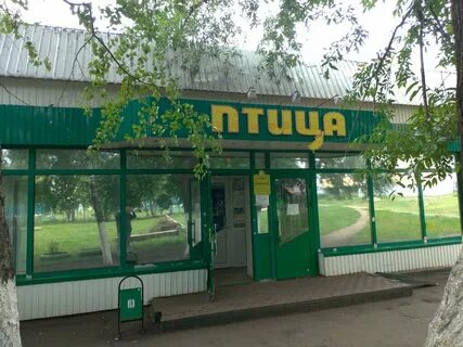 Магазин птица саранск