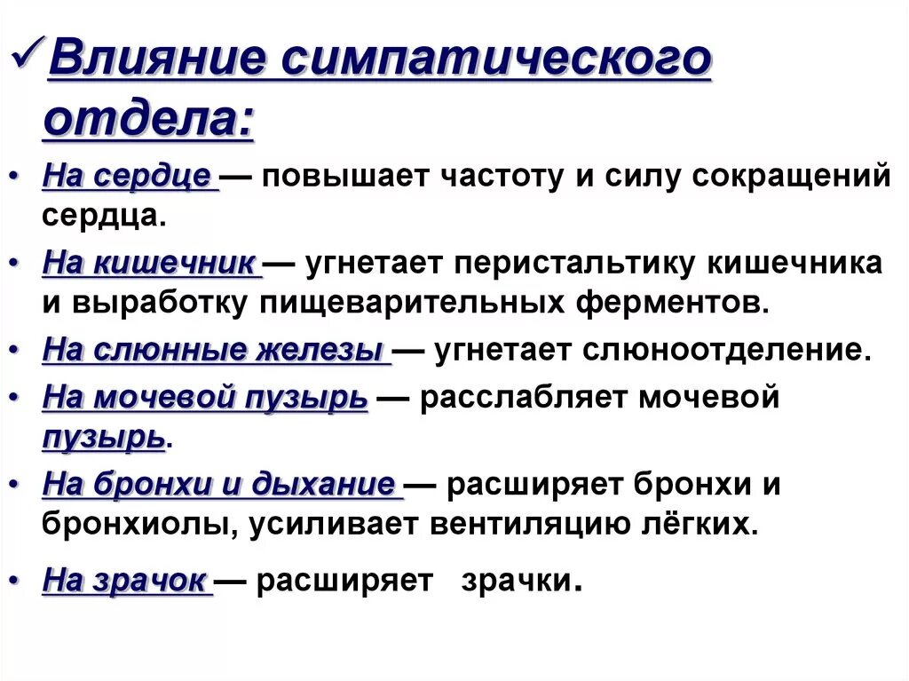 Симпатический отдел сердца