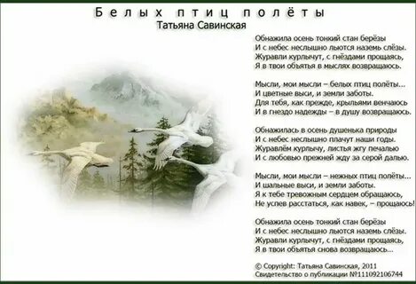 Песня птицы белые летели и кричали